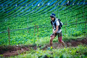 BIB: 
                            <button type="button" onclick="openModal(19160023)" class="btn btn-primary btn-sm float-right btn-popup" data-toggle="modal" data-target=".modal-high-quality">
                        <i class="fas fa-shopping-cart"></i> Add to Cart
                    </button>
                                            <button type="button" onclick="isThisMe(19160023, true)" class="btn btn-success btn-sm float-right btn-popup btn-isme hidden" data-toggle="tooltip" data-placement="bottom" title="นี่คือรูปของคุณใช่ไหม คลิกที่นี่เพื่อเอาเข้าอัลบั้ม">
                        <i class="fas fa-plus"></i> Add to album
                    </button>
                    <button type="button" onclick="isThisMe(19160023, false)" class="btn btn-warning btn-sm float-right btn-popup btn-isnotme hidden">
                        <i class="fas fa-ban"></i> Remove from album
                    </button>